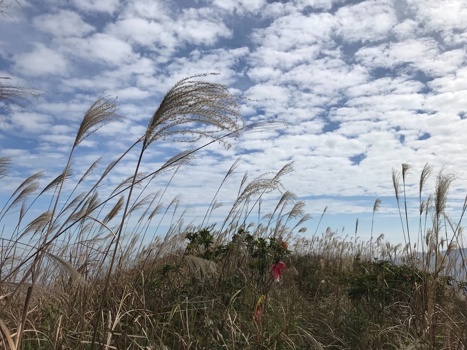 E0952D7A-6729-4622-BBA5-76BA7AB337A0