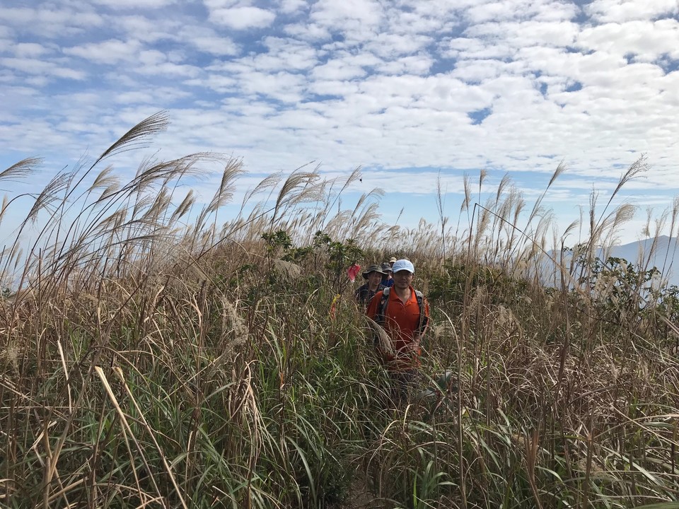 84675915-5C68-4EBA-9157-C3DE0089F14B