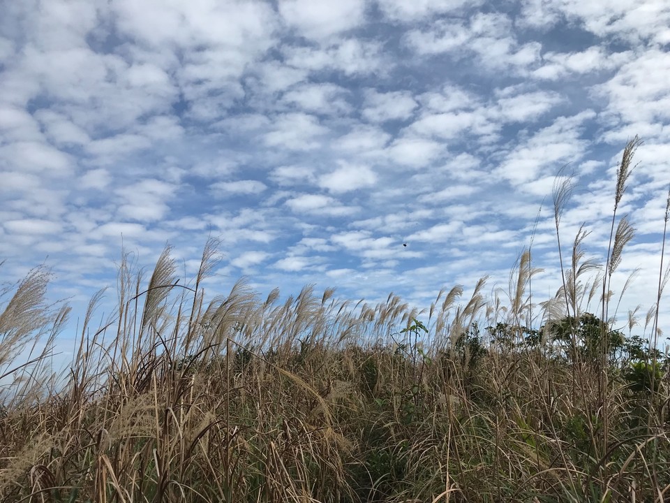 9BC7DDE5-B132-4AAE-8652-9BA000A9D839