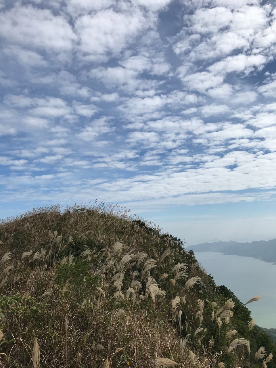 F82E18D7-5BD7-4263-903E-4EC99E9D249E