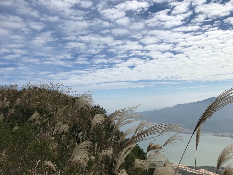 C022FC9B-47CD-4F94-94F2-9D7CC532FE53