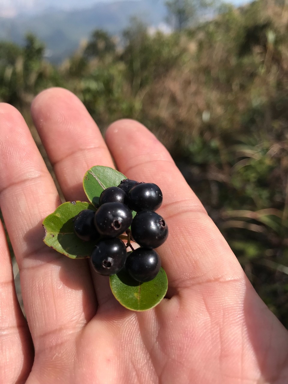 17B04938-D544-4946-9B15-D878952A6214