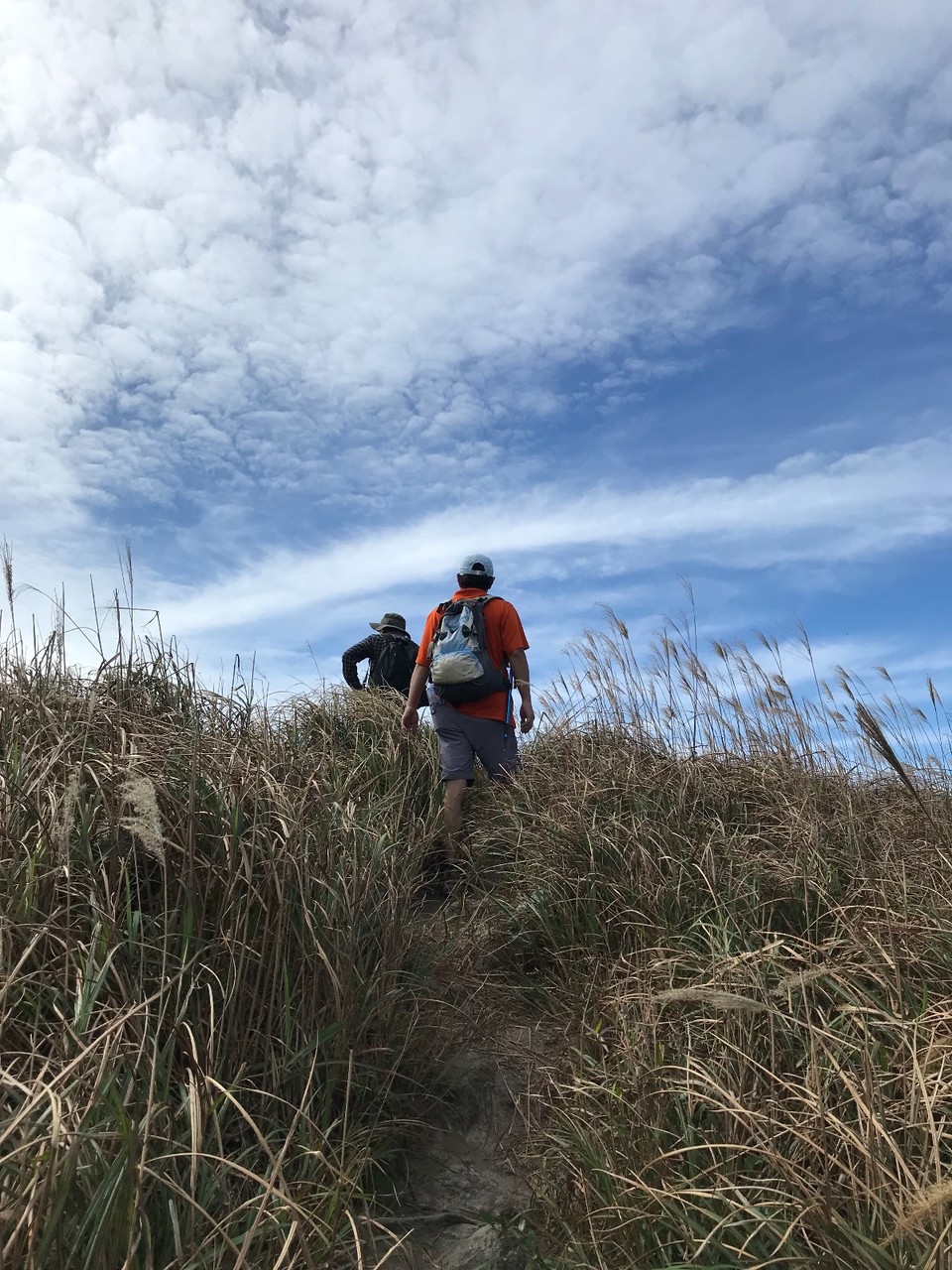 53B84BA0-CE37-4D2A-8847-E7C98690D09C