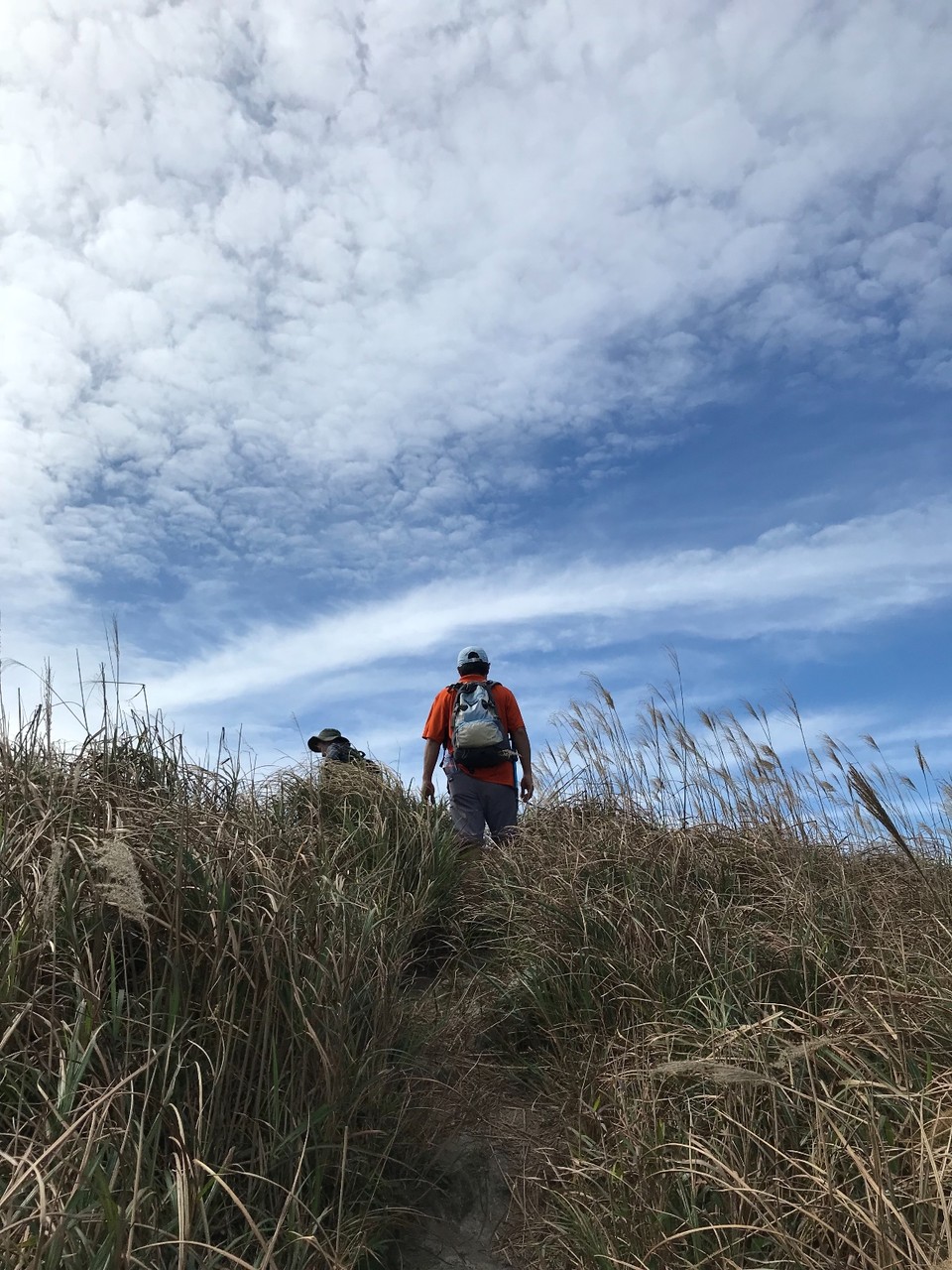 BE6FF2E6-CFC6-40C4-A63D-655339DE79EA