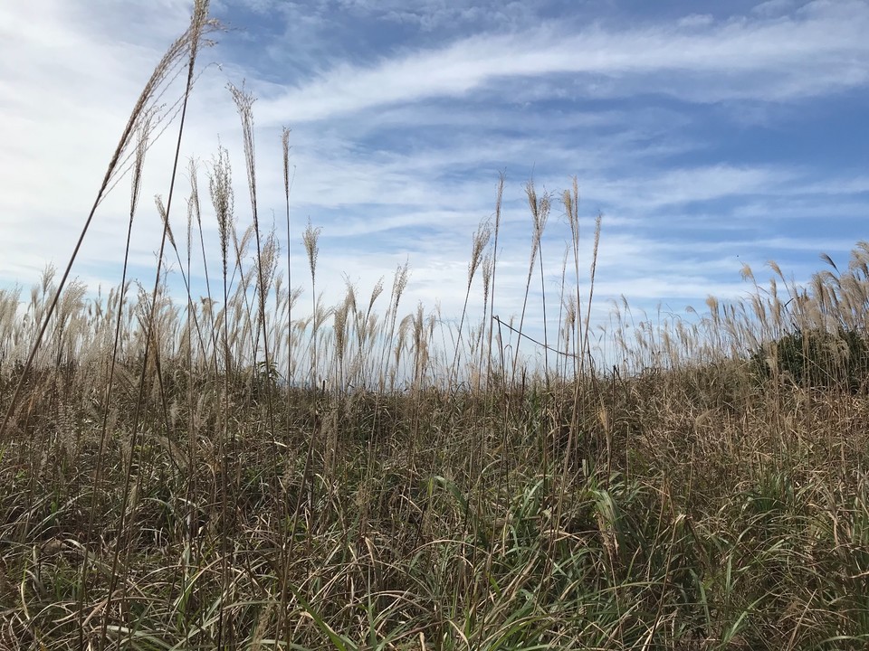 1AD92B78-D1FE-4928-8CA5-81BEF45E49D5