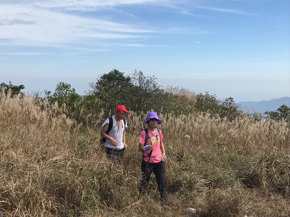 28387D8B-3D46-4C9A-AA22-6C68F8BFF879