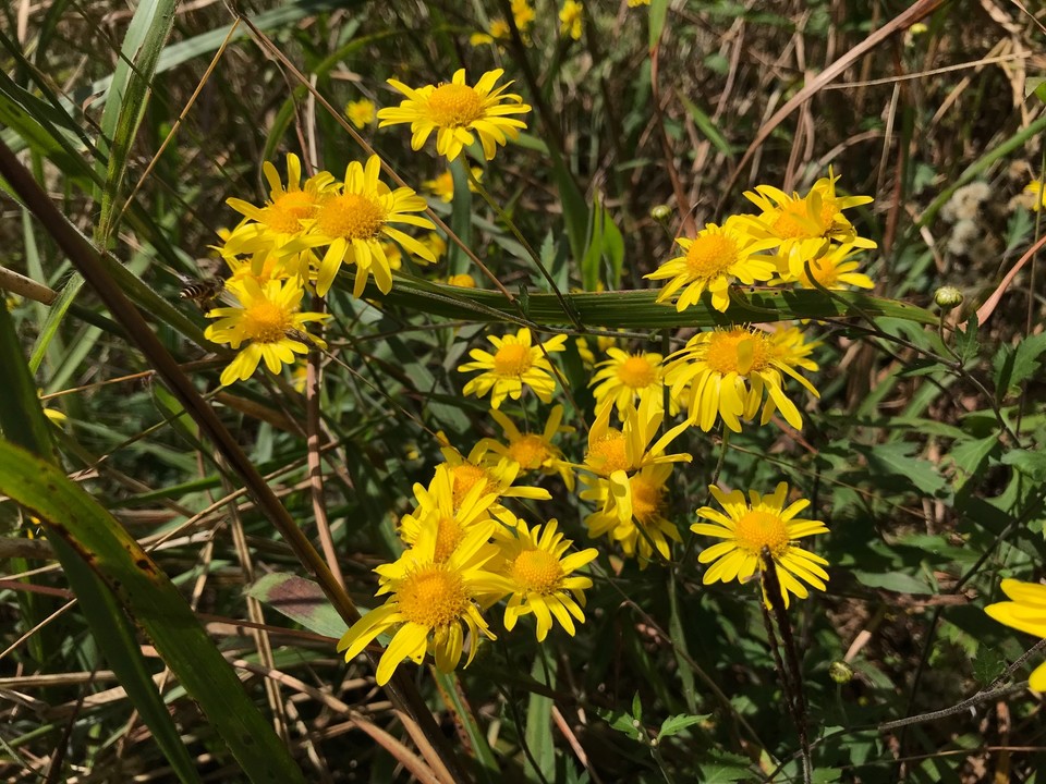 492B71AE-2EC1-4232-8EB2-7C243DBC7478