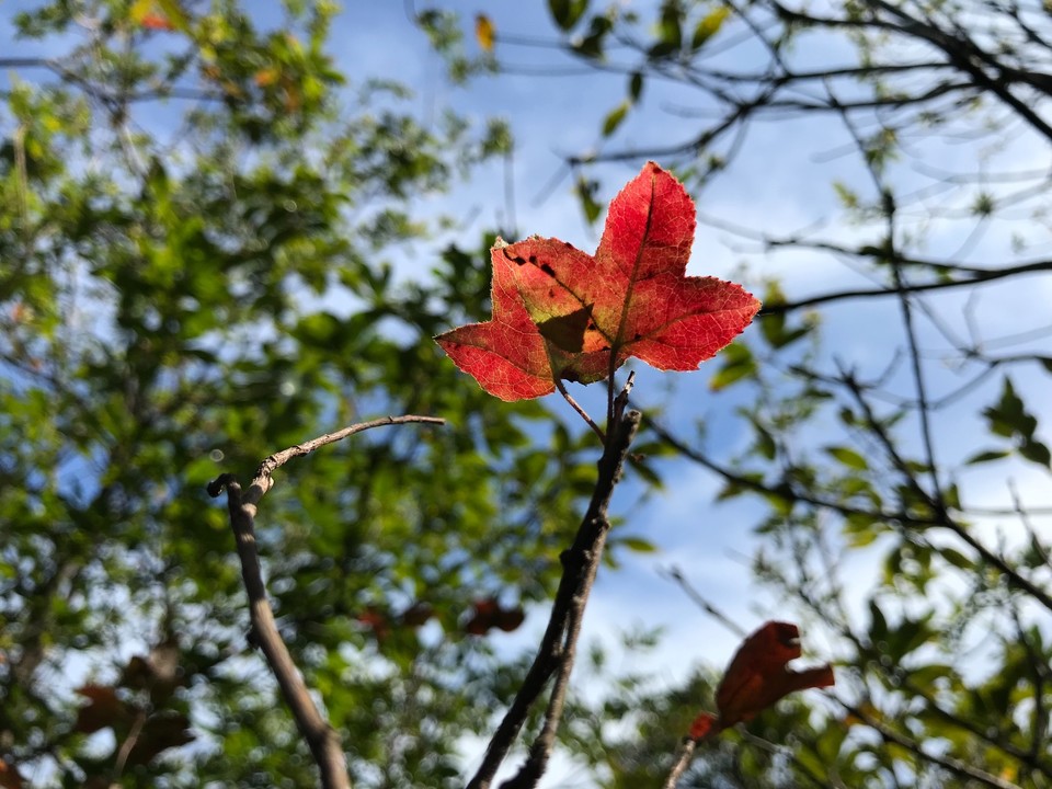 F0BA63BA-0B54-4D3D-A214-C831A3BD5142