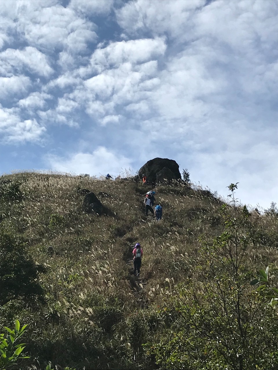 FC5450D2-539F-4486-984C-8D82475D4ED2