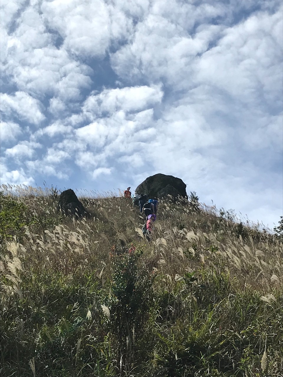 09E61D49-BE8B-4EA0-9A9A-A9DFD00CC6B4