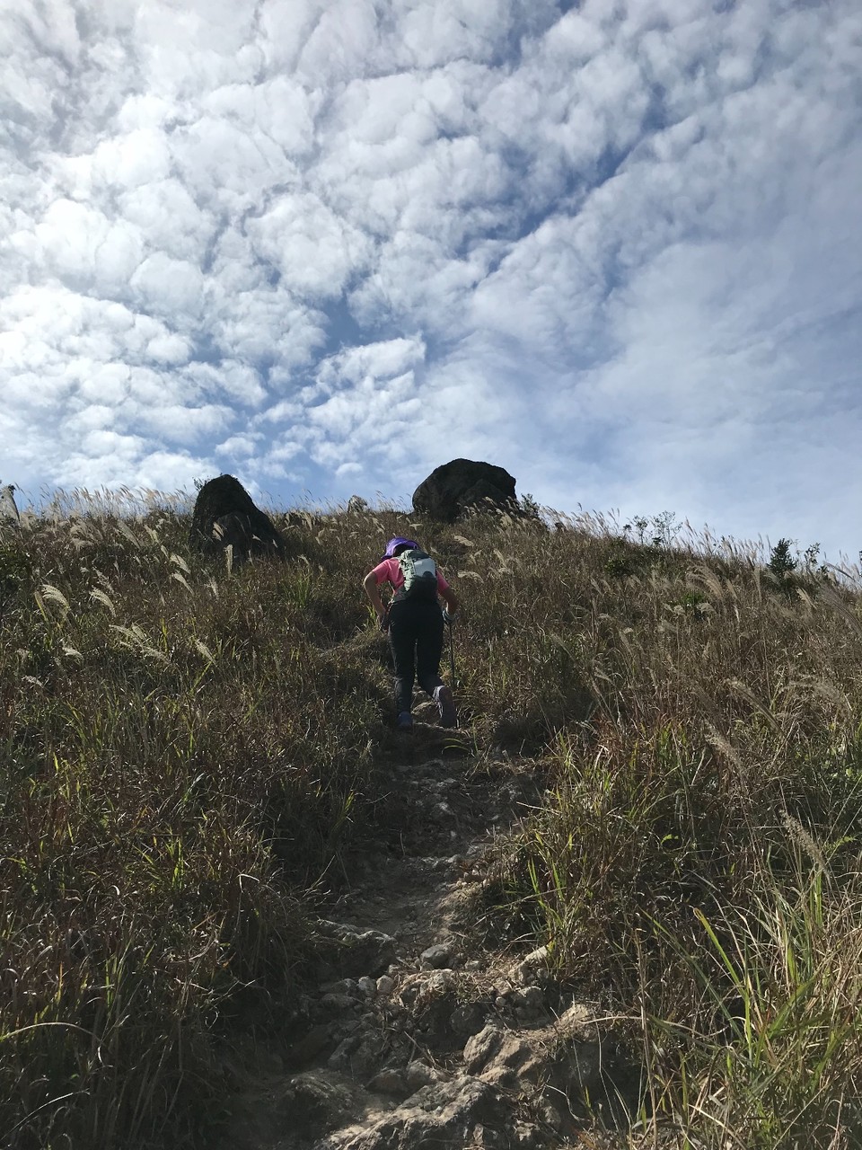 534073D4-7F95-46A5-AEB0-E9E1FD201A1A