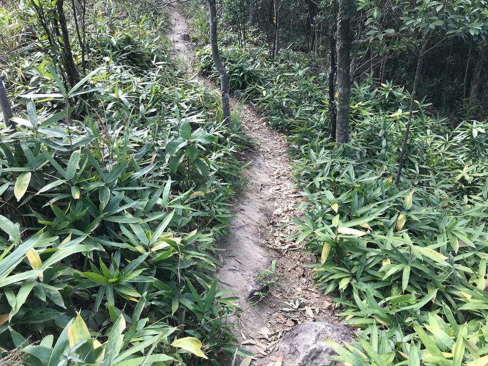 F3E3CD4B-D1F9-4CD8-A48E-12E83EDA69F8