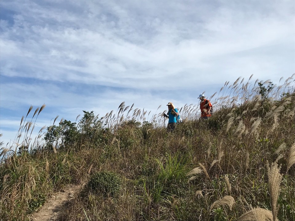 E8546B6C-AE60-44BC-8053-370E9D8AD6F5