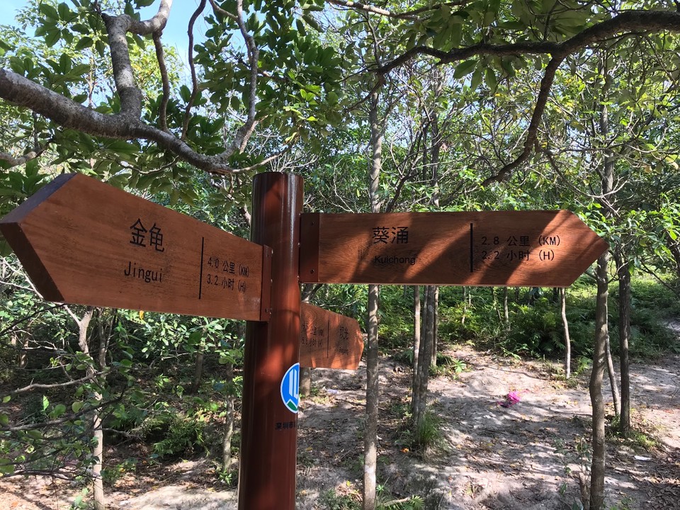 4956C302-5EA8-4213-9E0D-2622B87EC69A