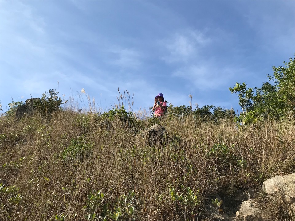 CBD0C2BE-0093-4944-8077-01AC43942DBF