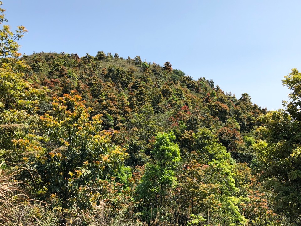 D758D260-F37E-499A-857E-5FC534E8E1F1