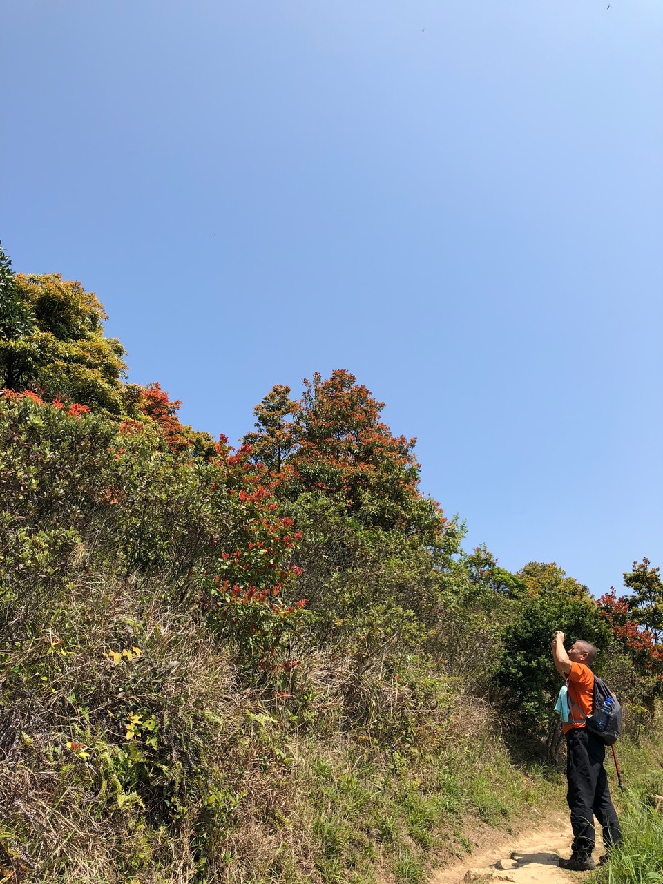 01A1D7C3-82AB-4A58-9F09-C653155D97B2