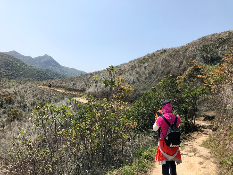 B3C2F805-A170-4C4B-A78D-3298DB538A24