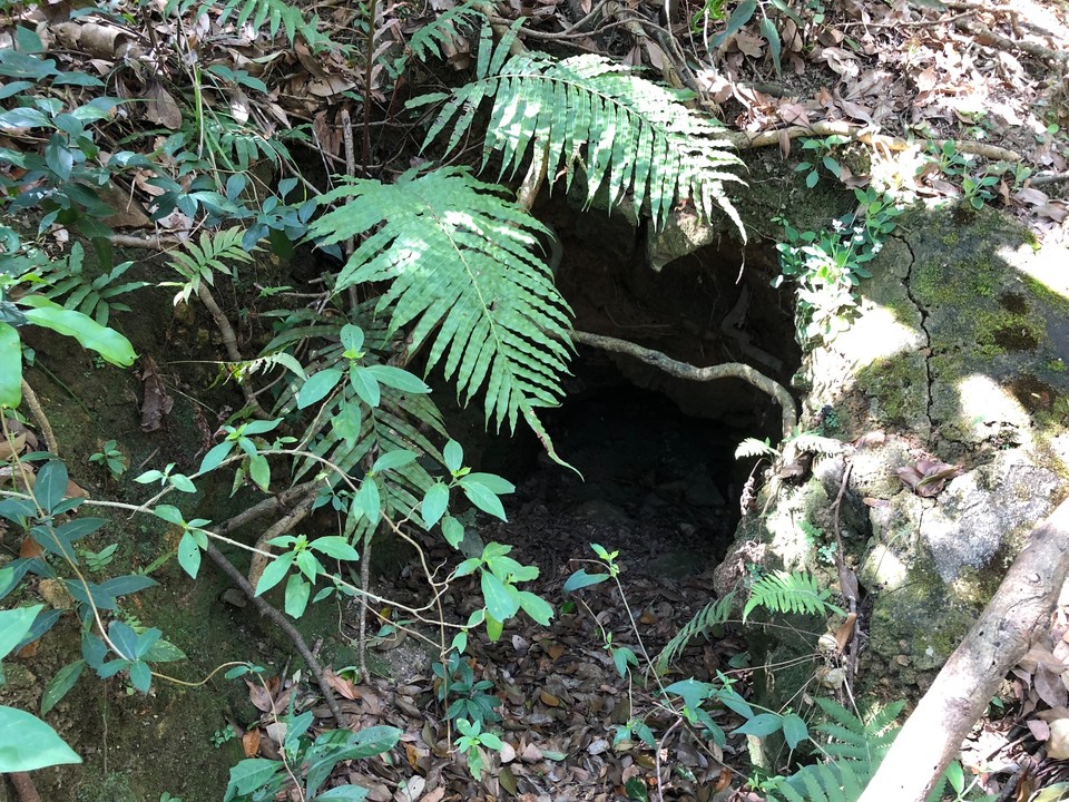 6D0B124A-DD9E-4ADE-BFDE-CBEC5DA756BC