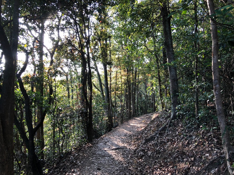 4C2F5A06-3B1C-4A71-B772-447B4D85F970