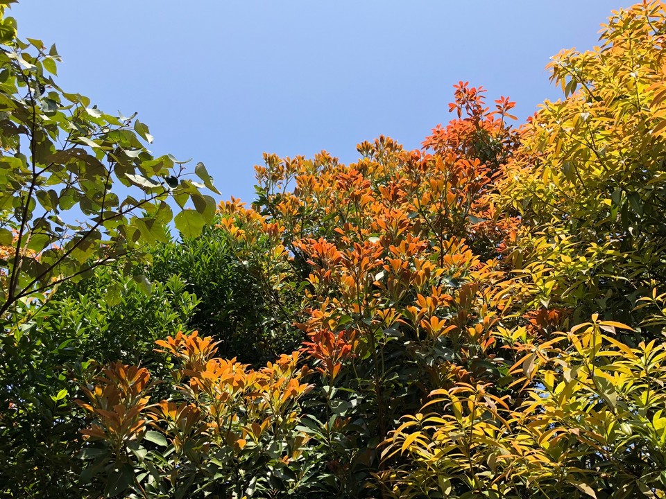 5AB0D86A-BAA6-4F6A-9A75-3EEE011FE0D2