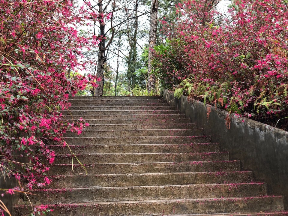 665BB88B-F636-49FC-9BFA-25100485A0C0