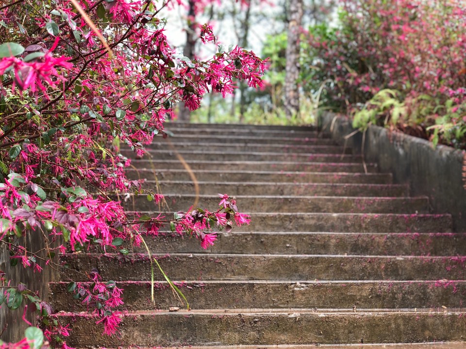 A08A067B-9F1C-48B5-B35A-A4C55EFB7FE8