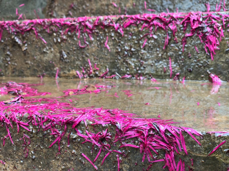 4CC09461-887B-47EA-AC35-86E01B53308D