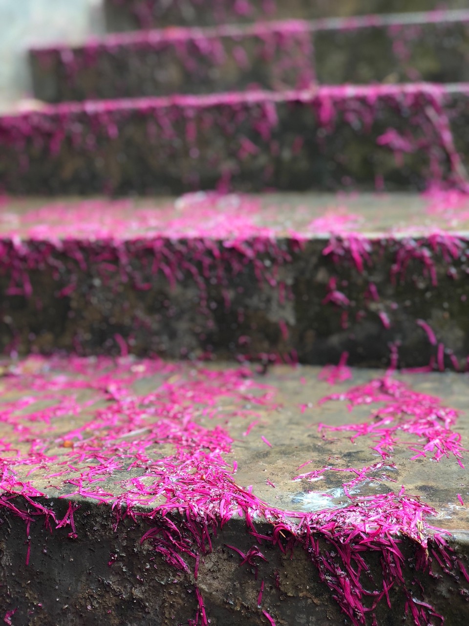 9021F828-8AE4-4989-A71E-BB2618569C03