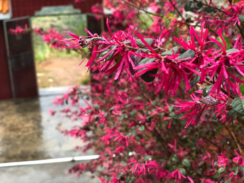 A7015266-6CBC-4032-8012-A39754BC4818