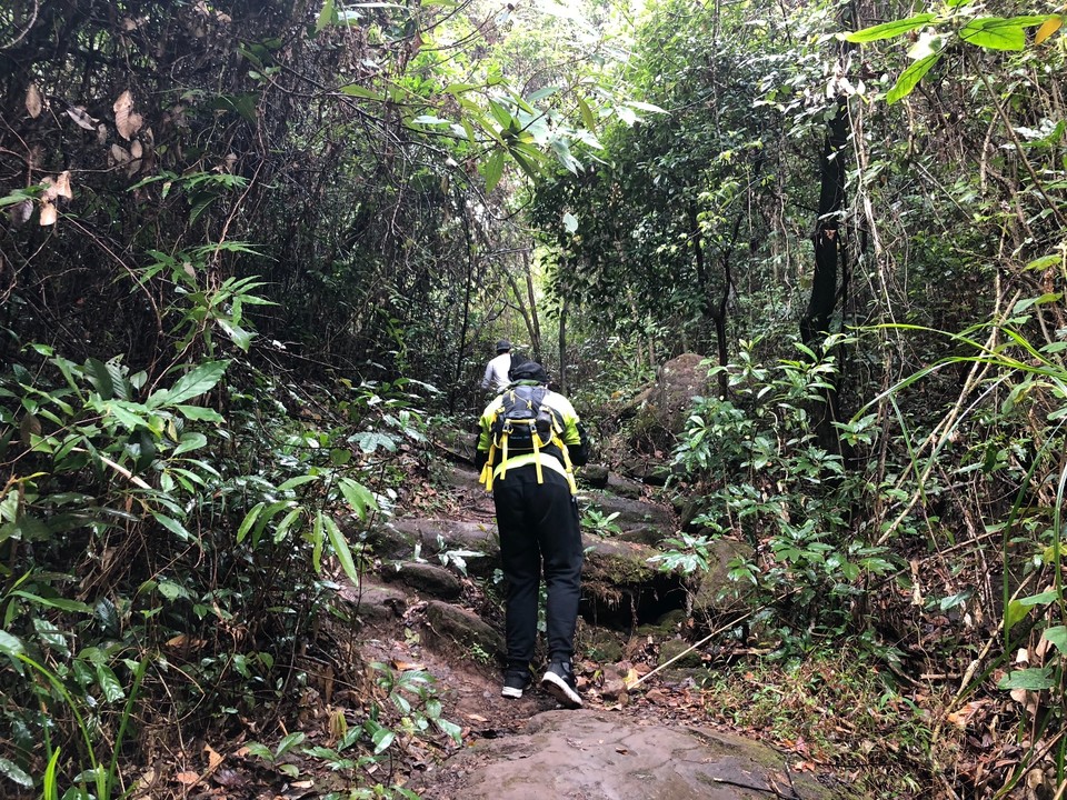 94956B71-A765-458E-8AD0-21E22B361086