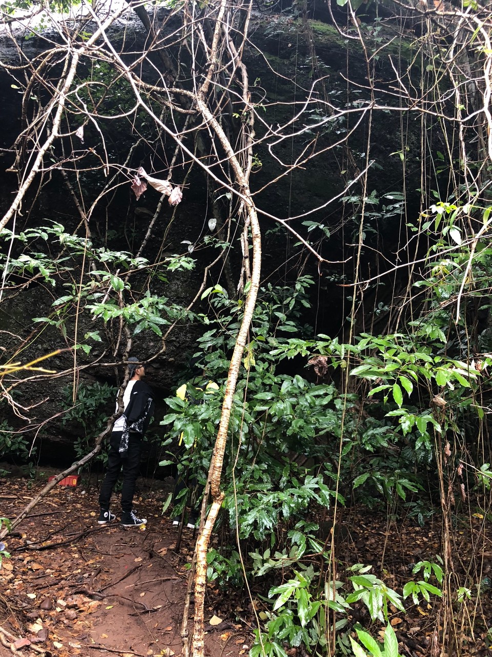 5149F91B-3469-45FF-9AEA-F0E6F76B9CEA