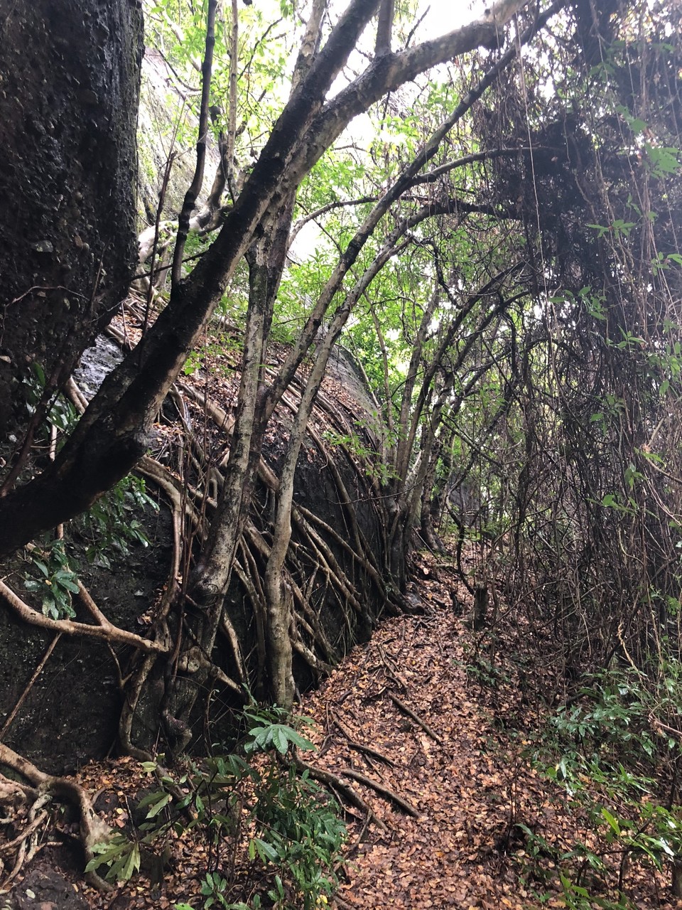 813EAD12-E32B-4016-9236-B1F2773B2C70