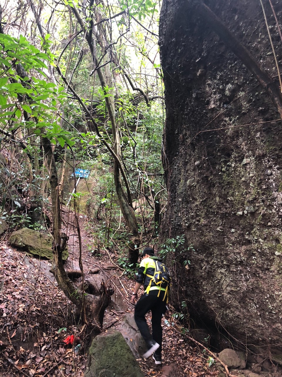 76A9F80F-60C6-4B40-92C0-98C03778B67C