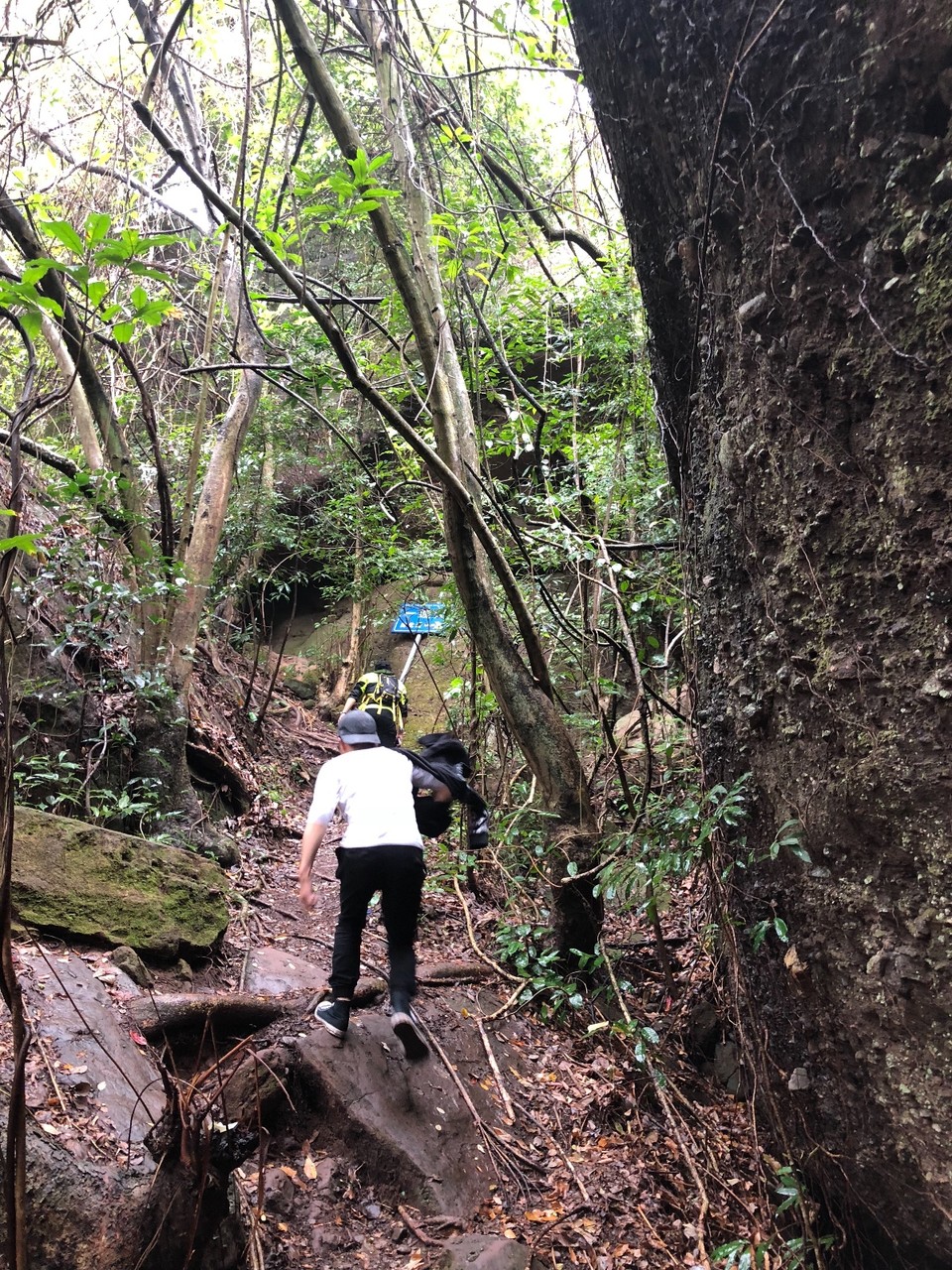 EF071F23-146F-422D-8A12-931B026E5311