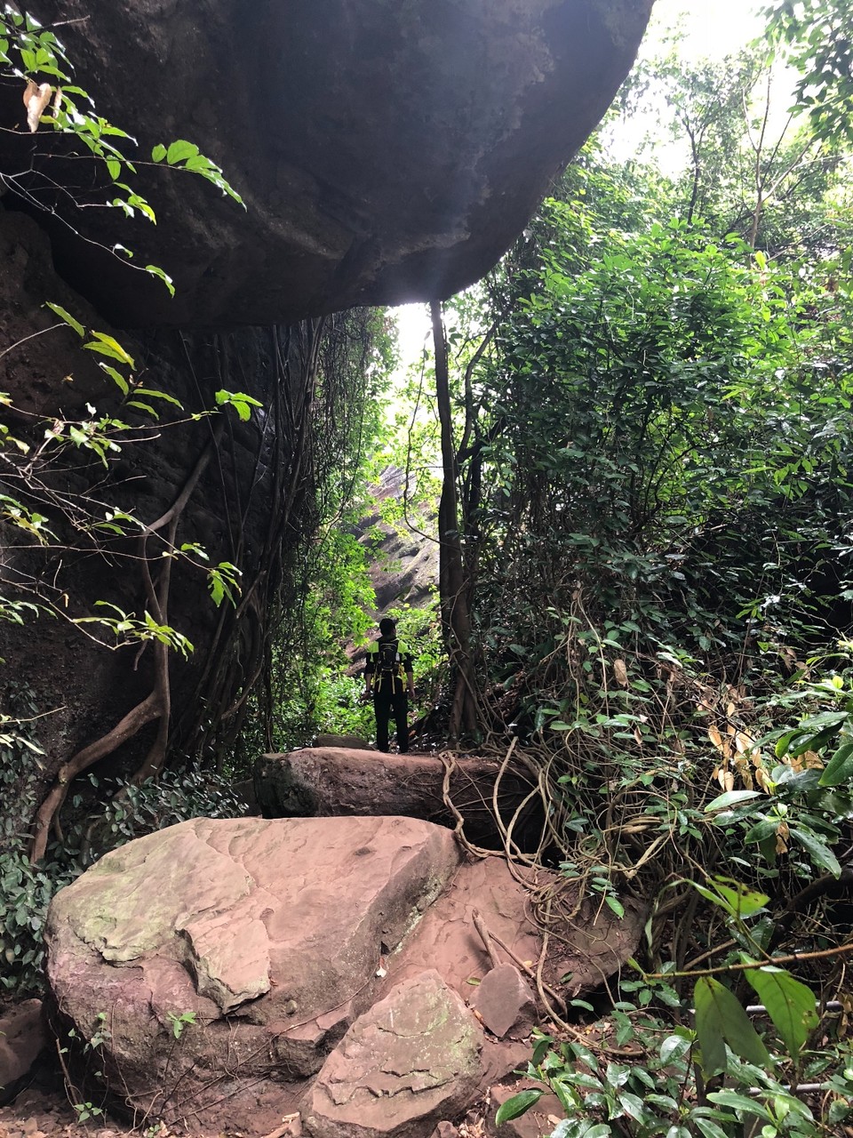 58214437-158B-4544-A354-4D595CF6513E