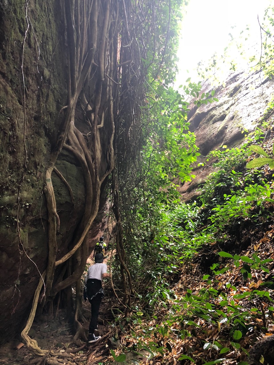 234BEA80-7989-4A46-A871-26A78B17E387