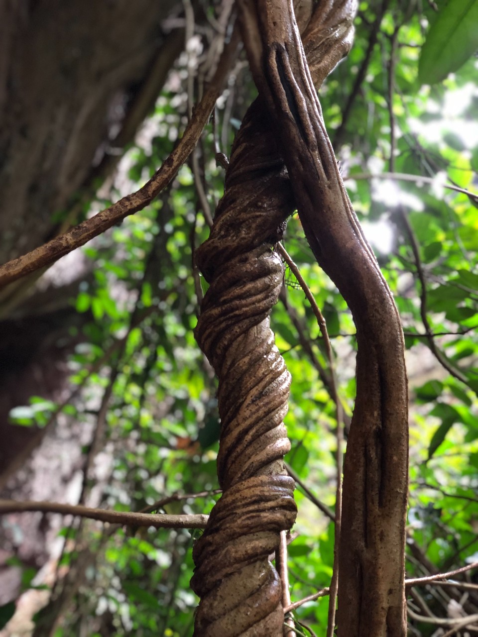 40401DD3-0A73-4A49-8601-550B0252FB26