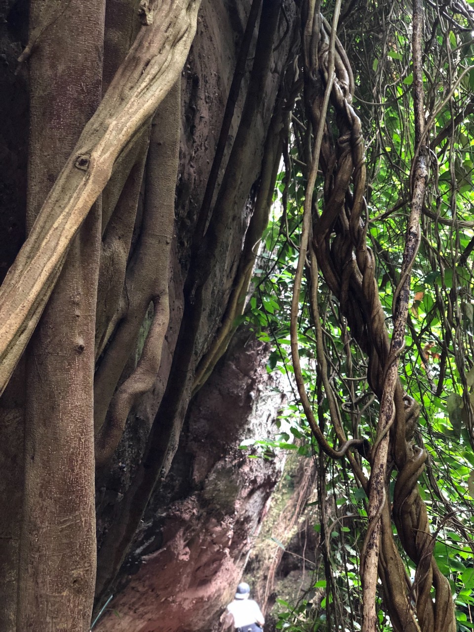 E7469C18-D6ED-407F-94E9-E7E22FCF6F12