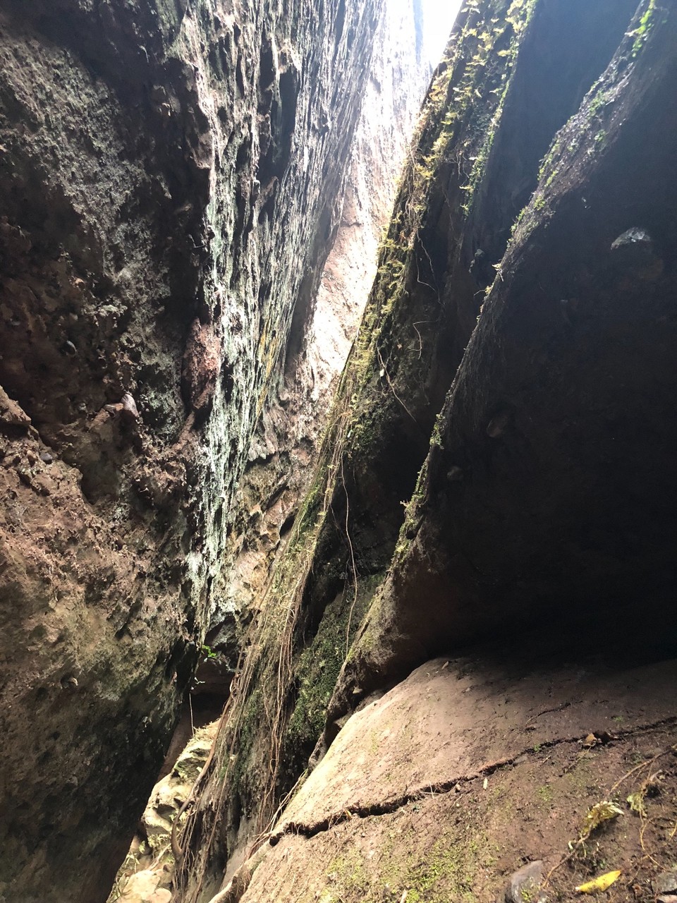 7301C888-3E30-47FF-87B5-56EF1B86F327