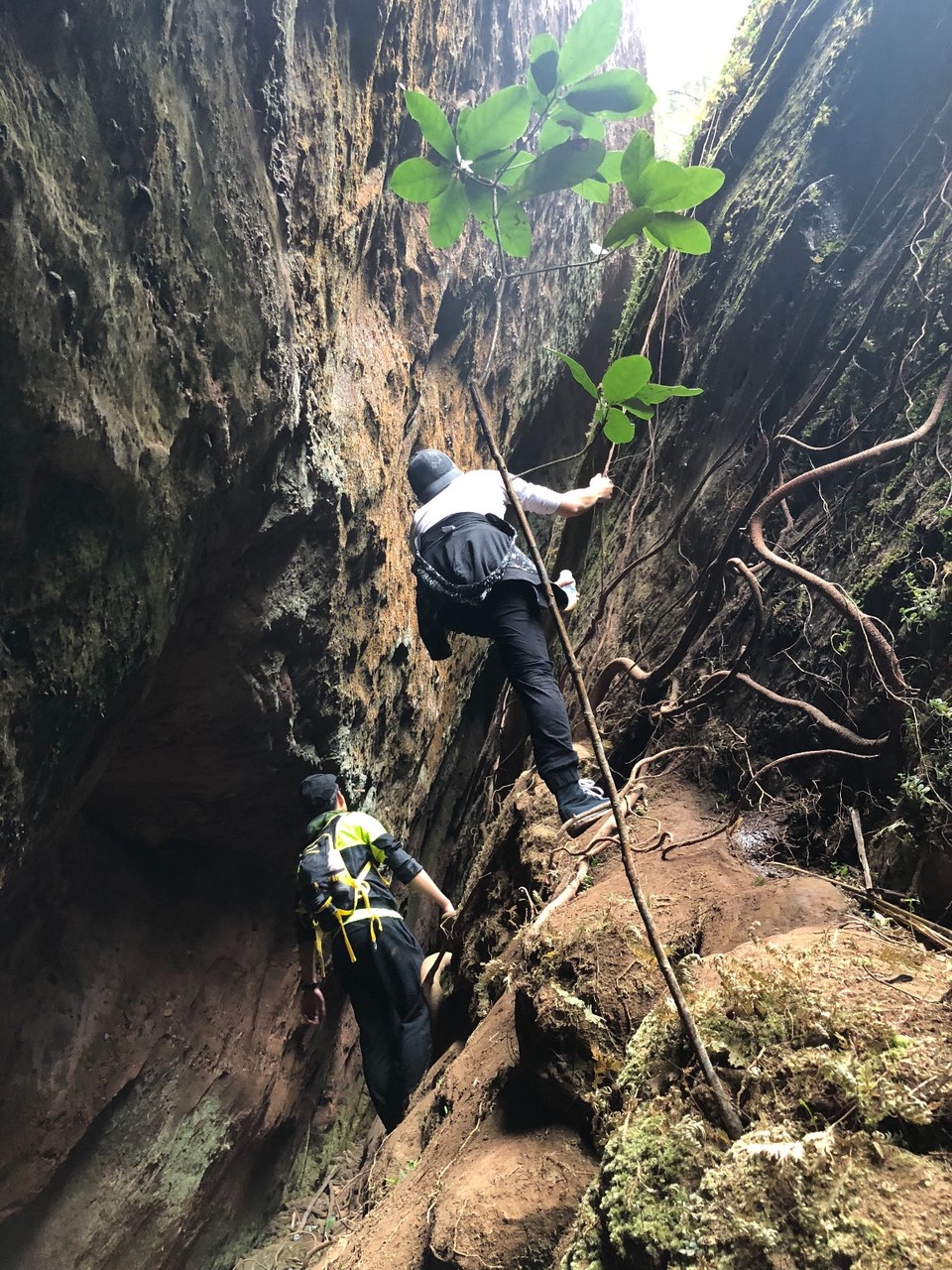 E2A6A5B1-FE5B-4DB7-B3D7-7FD8DEBD1AFA