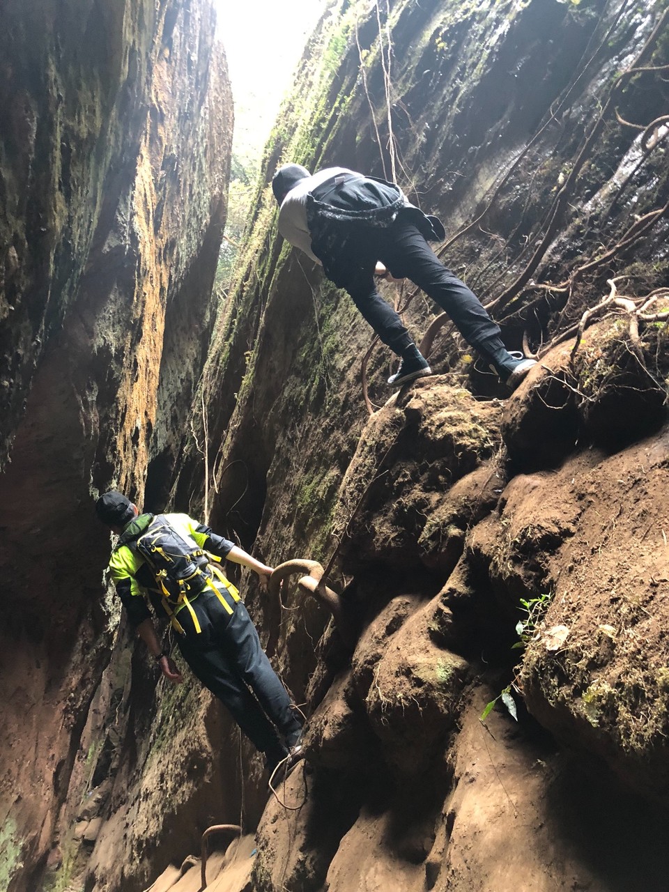 558E5A5A-1E8C-4AA9-A4CB-7D3AC4BBD897