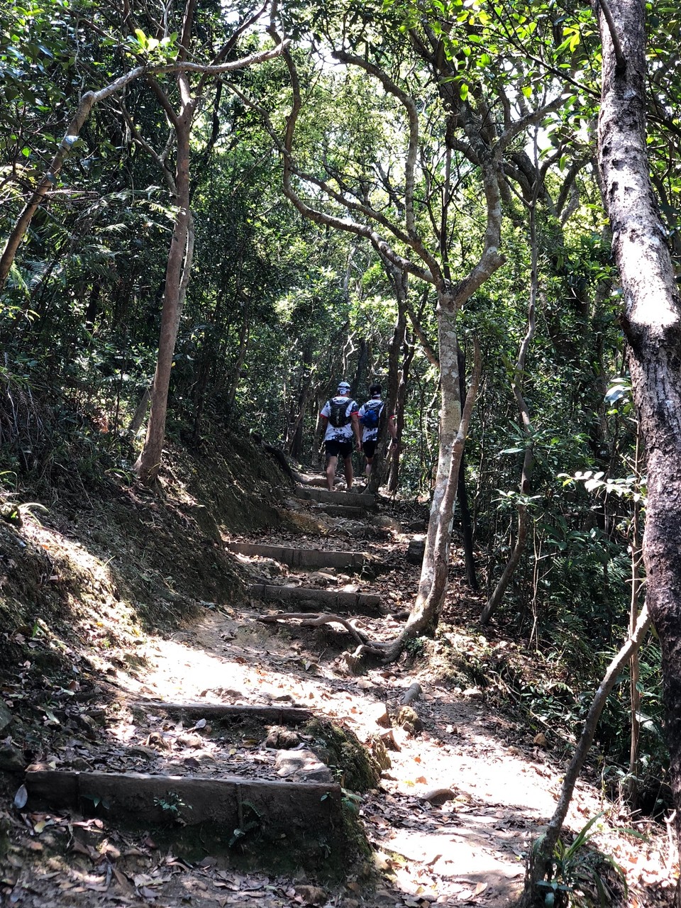 E8F439CF-C6AF-497A-8541-70C2DBA8A25D