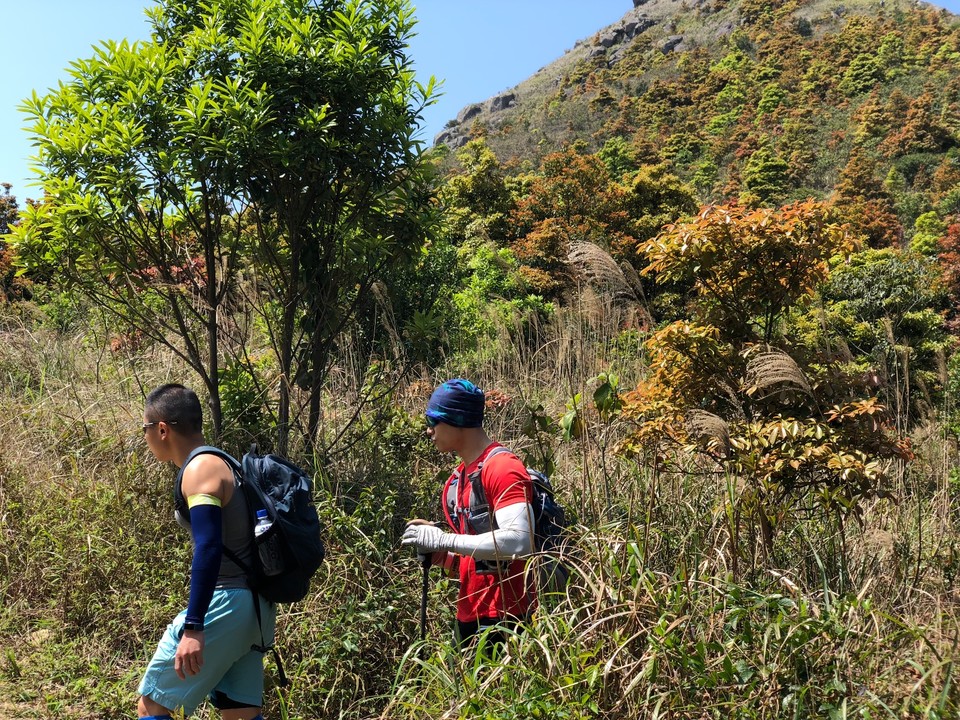 67057F99-F5BA-47B7-8DF9-234AF62B2F37