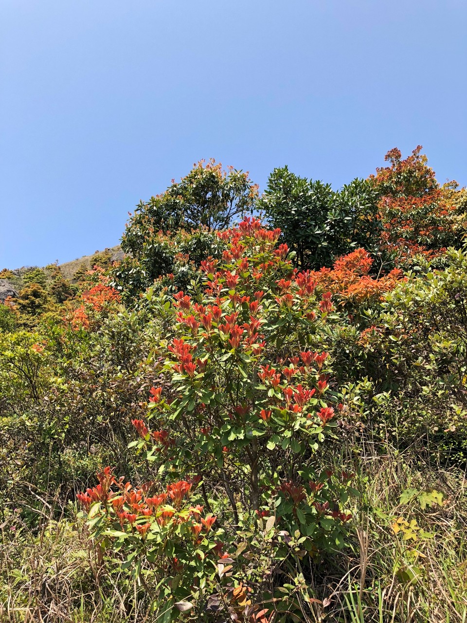 767FF4F1-6D6A-4DA6-986A-36127FC7A5D5