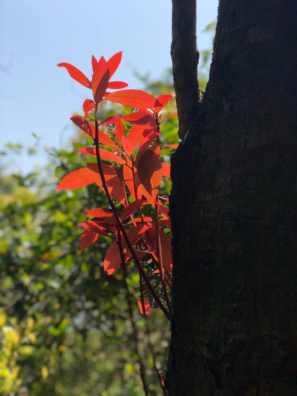 5CD45E7E-66E4-4E40-A3E0-296F6795E267