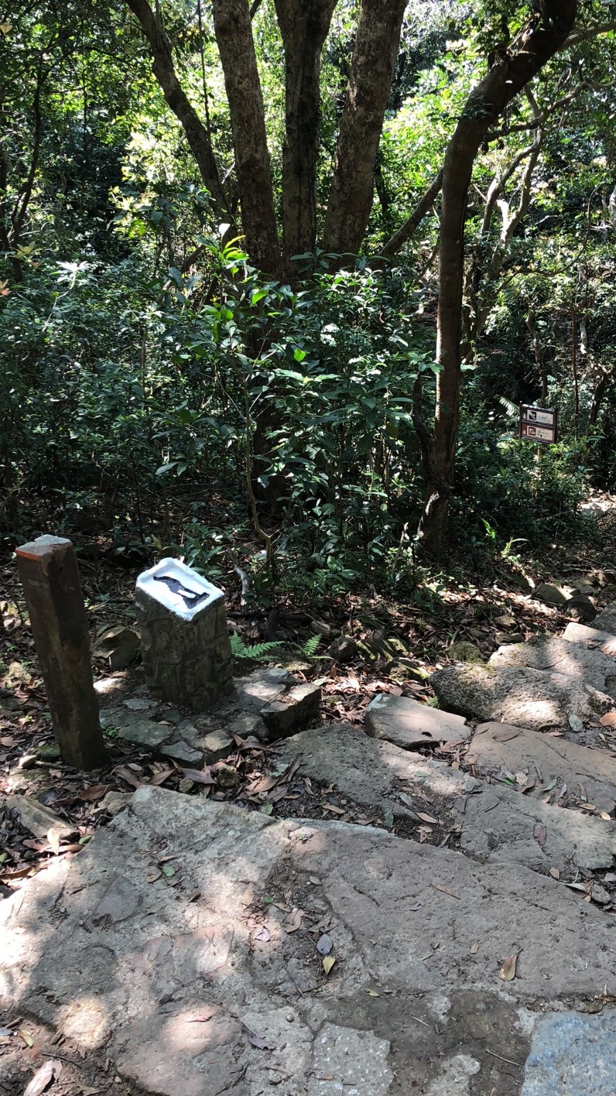 C68C2D80-2911-4254-860B-D8017E30D1EF