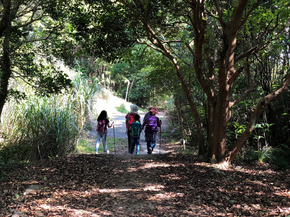 6BDC94B2-EE7E-4123-AD29-C7EA9D90716F