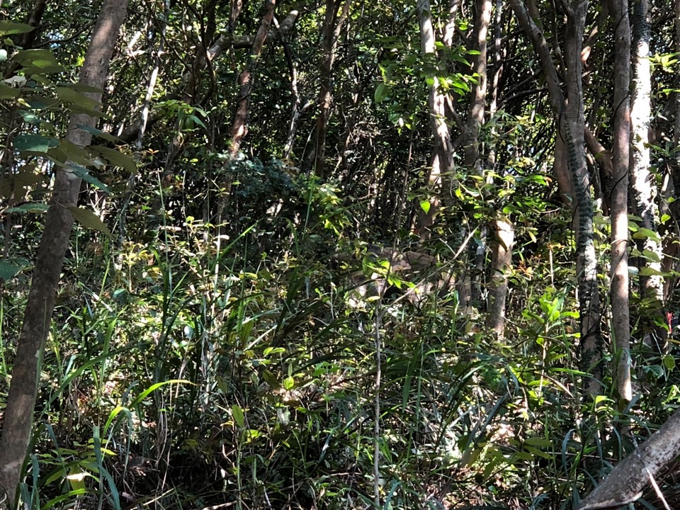 127D3416-F090-4373-979E-0841FC734D6F