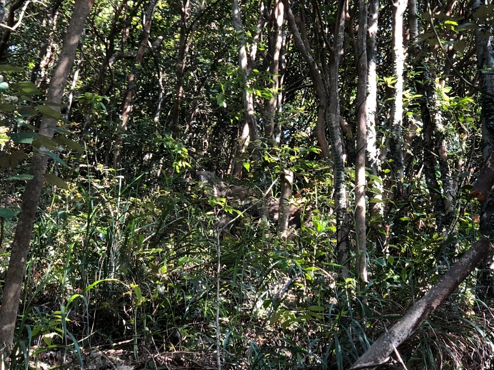 A3BC1414-7FDC-4502-AD1B-4C7F3BCCE7CA